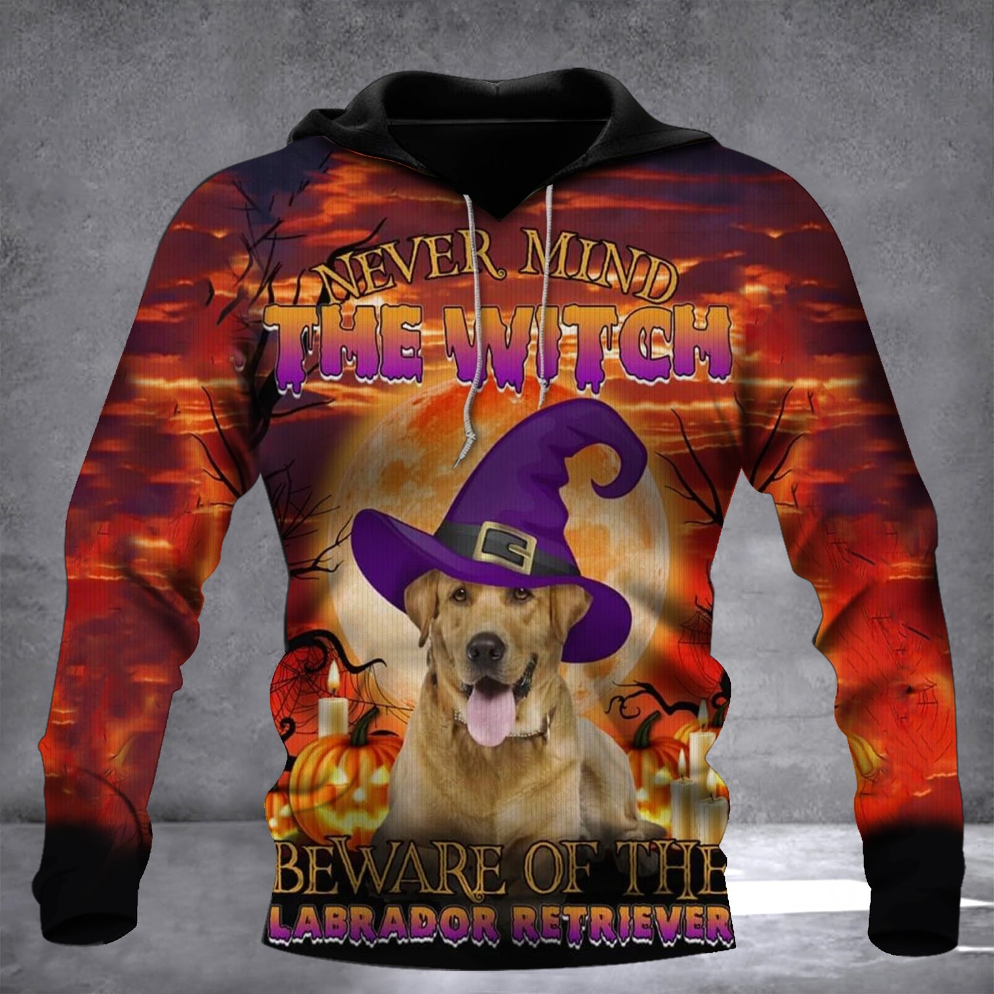 Never Mind The Witch Beware Of The Labrador Retriever Hoodie V2