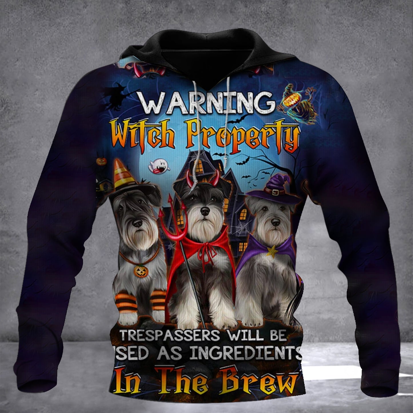 Schnauzer Warning Witch Property Trespassers Hoodie